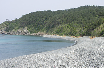 碁石ヶ浜（江島）