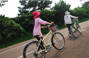 レンタサイクルで気ままな島散策