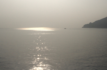 朝の光を浴びて命をたたえる体験