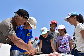 魚捌き体験